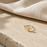 Bague Citrine abeille dorée dans une ambiance naturelle