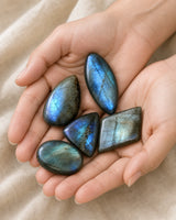 Lot de cinq pierres polies en labradorite tenu dans les mains