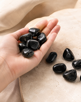 Pierres roulées de tourmaline noire naturelle présentées dans une main pour montrer leur aspect et leur taille.