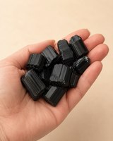 Morceaux de tourmaline noire brute naturelle présentés dans une main pour montrer leur taille.